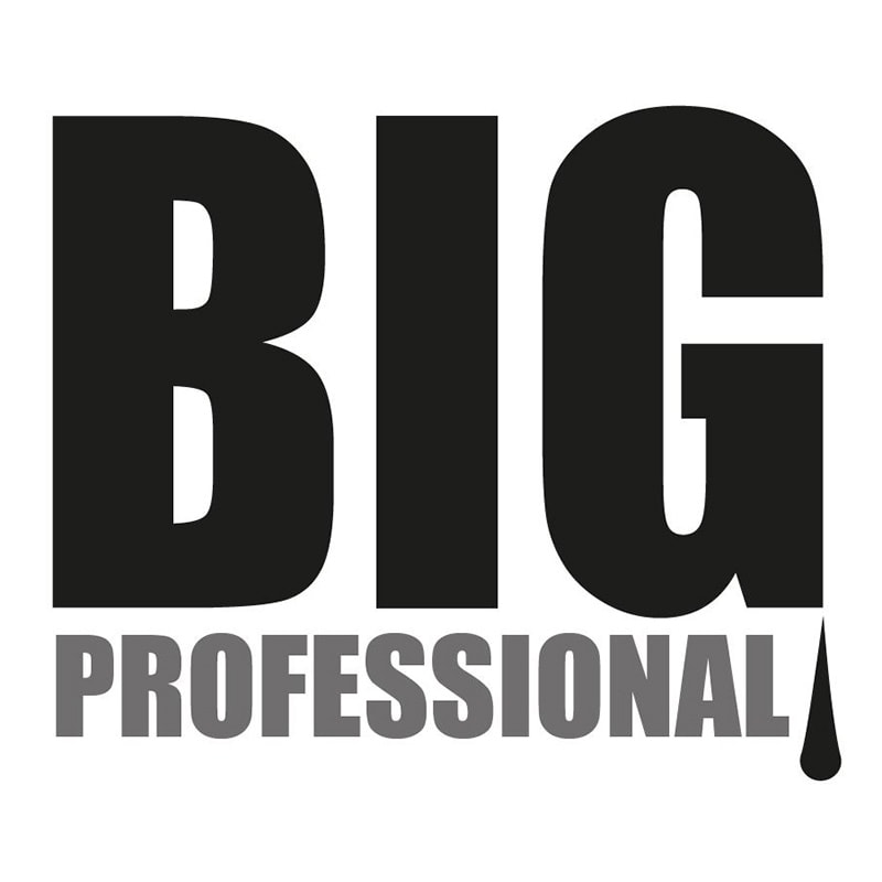 Big Professional logo