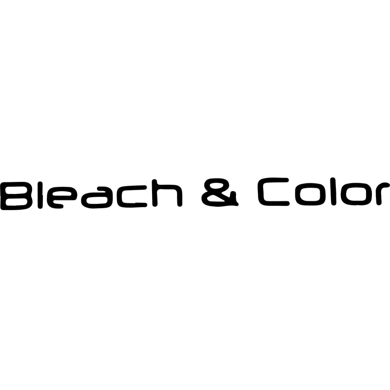 bleach & color logo